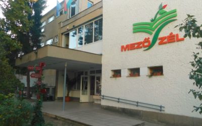 Mezőszél kisfilm 2025-26